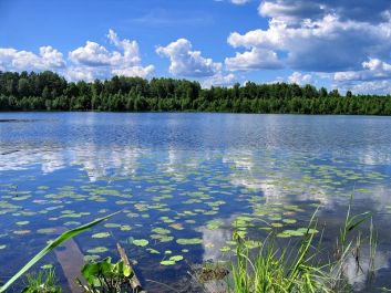 Озеро Светлояр и парк приключений «Подсолнухи»